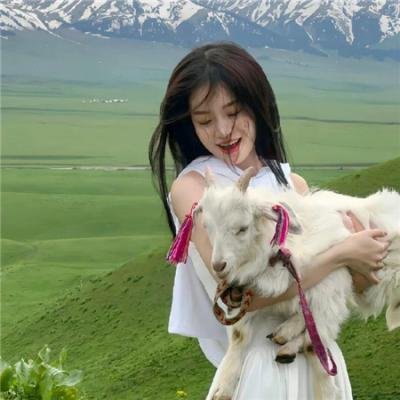 来自中国的熊猫