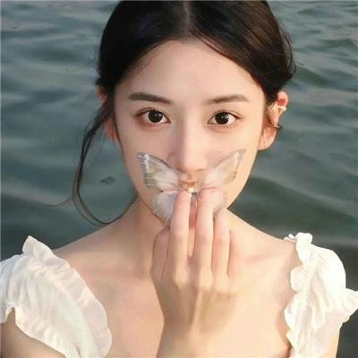 白箱 剧场版
